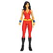 DC Universe Classics Donna Troy Action Figure